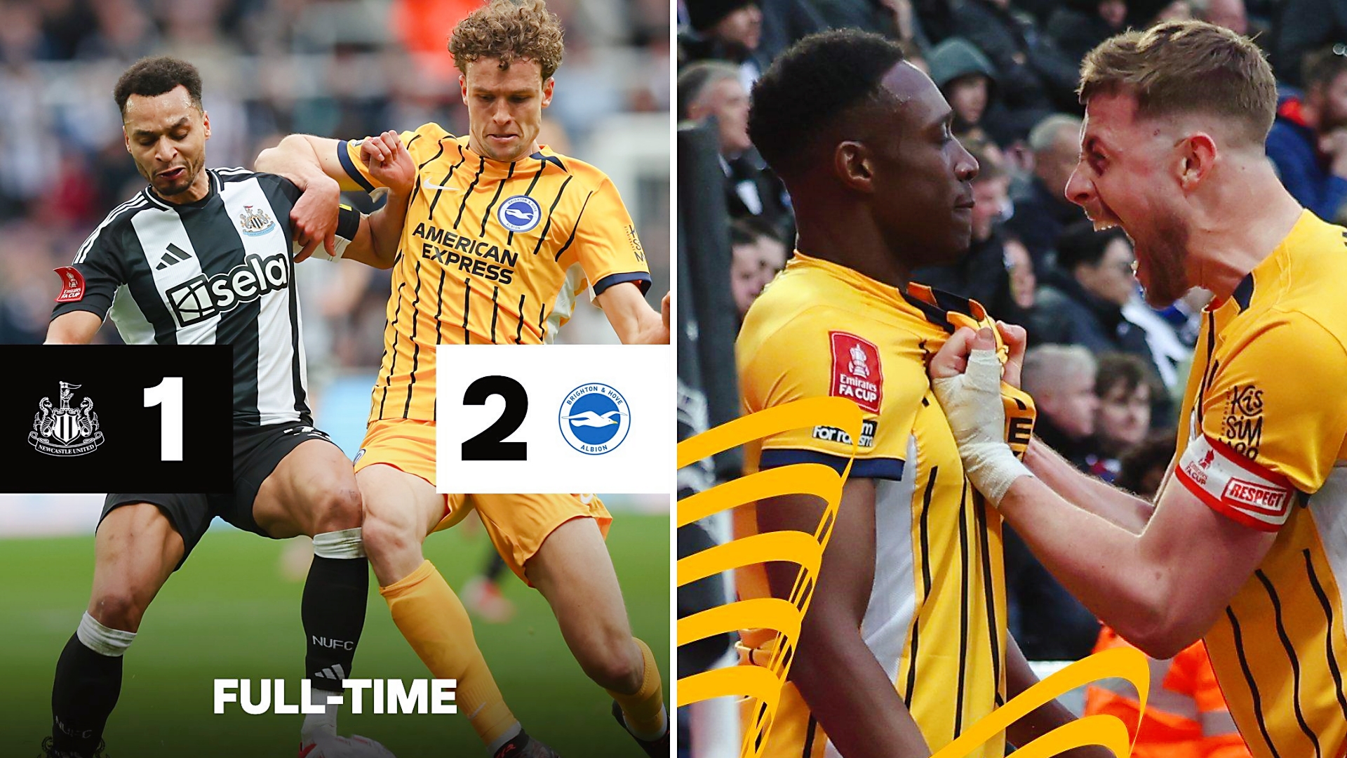 纽卡斯尔主场胜布莱顿,赢下保级之战的简单介绍 纽卡斯尔主场胜布莱顿,赢下保级之战的简单介绍