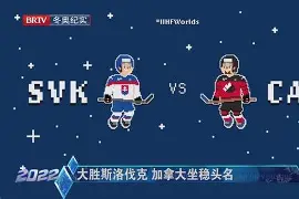 斯洛伐克团队斩获头名,实现突破 斯洛伐克团队斩获头名,实现突破